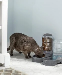 Frisco Circular Gravity Refill Dog & Cat Feeder -PetNest Shop 216701 PT6. SY630 V1605739939