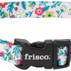 Frisco Spring Floral Polyester Dog Collar -PetNest Shop 218214 MAIN. SY630 V1590604315