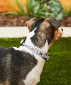 Frisco Spring Floral Polyester Dog Collar -PetNest Shop 218214 PT4. SY630 V1597600280
