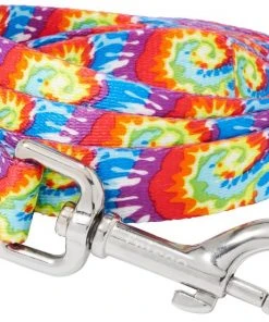 Frisco Tie Dye Swirl Polyester Dog Leash