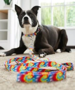 Frisco Tie Dye Swirl Polyester Dog Leash -PetNest Shop 218246 PT4. SY630 V1597599972