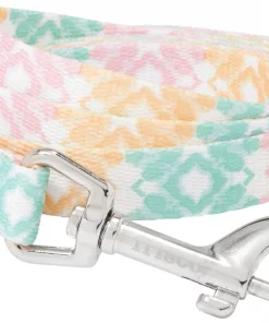 Frisco Pastel Tie Dye Polyester Dog Leash