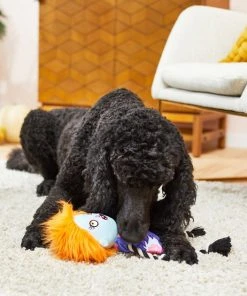 Frisco Zombie Girl Plush with Rope Squeaky Dog Toy -PetNest Shop 218571 PT6. SY630 V1597599373