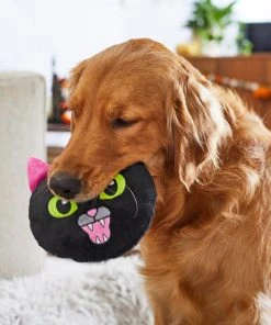 Frisco Black Cat Round Plush Squeaky Dog Toy -PetNest Shop 218587 PT6. SY630 V1597599384