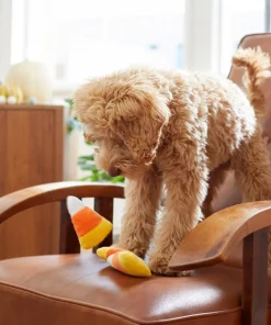 Frisco Halloween Candy Corn Plush Squeaky Dog Toy, 3 count -PetNest Shop 218619 PT6. SY630 V1597599676