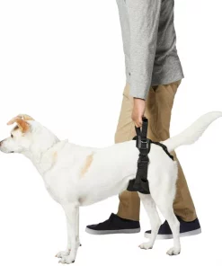 Frisco Rear Lift Handicapped Support Dog Harness -PetNest Shop 220374 PT5. SY630 V1605743213