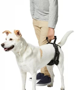 Frisco Rear Lift Handicapped Support Dog Harness -PetNest Shop 220374 PT6. SY630 V1605755228