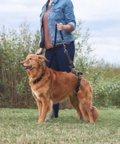 Frisco Rear Lift Handicapped Support Dog Harness -PetNest Shop 220374 PT7. SY630 V1605754619
