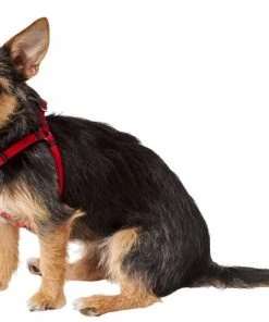 Frisco Nylon Step In Back Clip Dog Harness 9 Frisco Nylon Step In Back Clip Dog Harness -PetNest Shop 220505 PT2. SY630 V1605571047