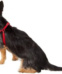 Frisco Nylon Step In Back Clip Dog Harness 10 Frisco Nylon Step In Back Clip Dog Harness -PetNest Shop 220505 PT3. SY630 V1605579490