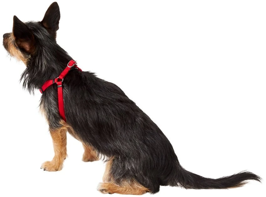 Frisco Nylon Step In Back Clip Dog Harness 6 Frisco Nylon Step In Back Clip Dog Harness - Image 4