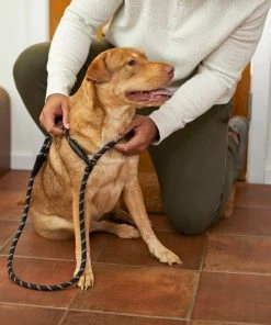 Frisco Reflective Rope Slip Lead Dog Leash -PetNest Shop 221212 PT4. SY630 V1602862584