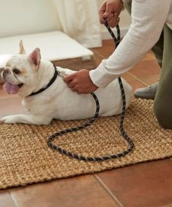 Frisco Reflective Rope Dog Leash -PetNest Shop 221214 PT4. SY630 V1602862582