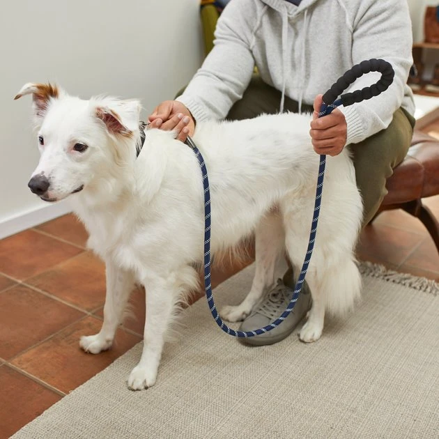 Frisco Rope Dog Leash with Padded Handle 6 Frisco Rope Dog Leash with Padded Handle - Image 4