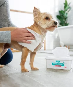 Frisco Sensitive Skin Waterless Grooming Wipes with Aloe and Honeysuckle for Dogs & Cats, 100 count 7 Frisco Sensitive Skin Waterless Grooming Wipes with Aloe and Honeysuckle for Dogs & Cats, 100 count -PetNest Shop 222143 PT1. SY630 V1602836183