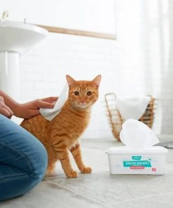 Frisco Sensitive Skin Waterless Grooming Wipes with Aloe and Honeysuckle for Dogs & Cats, 100 count 8 Frisco Sensitive Skin Waterless Grooming Wipes with Aloe and Honeysuckle for Dogs & Cats, 100 count -PetNest Shop 222143 PT2. SY630 V1602825989
