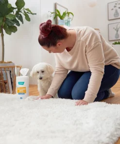 Frisco Spot Cleaning Wipes, 70 count -PetNest Shop 222155 PT1. SY630 V1602845808