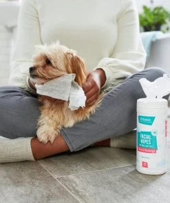 Frisco Dog & Cat Facial Grooming Wipes, Unscented -PetNest Shop 222159 PT1. SY630 V1602847596