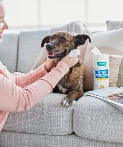 Frisco Hot Spot Relief Waterless Grooming Wipes with Colloidal Oatmeal for Dogs & Cats, 100 count -PetNest Shop 222163 PT1. SY630 V1602832885