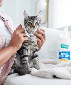 Frisco Hot Spot Relief Waterless Grooming Wipes with Colloidal Oatmeal for Dogs & Cats, 100 count -PetNest Shop 222163 PT2. SY630 V1602831392