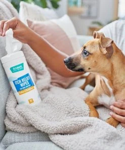 Frisco Itch Relief Waterless Grooming Wipes for Dogs & Cats, 50 count -PetNest Shop 222165 PT1. SY630 V1602839795