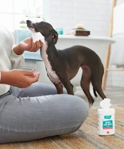 Frisco Dog Dental Care Wipes, 30 count -PetNest Shop 222169 PT1. SY630 V1620938952