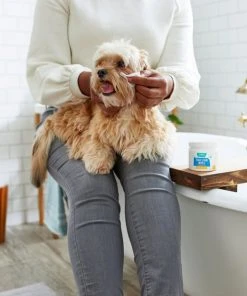 Frisco Tear Stain Eye Wipes for Puppies & Kittens, 45 count -PetNest Shop 222171 PT1. SY630 V1602826901