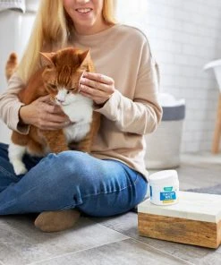 Frisco Tear Stain Eye Wipes for Puppies & Kittens, 45 count -PetNest Shop 222171 PT2. SY630 V1602846989