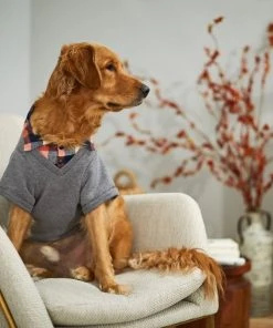 Frisco Plaid Dog & Cat Sweatshirt -PetNest Shop 223685 PT7. SY630 V1599921732