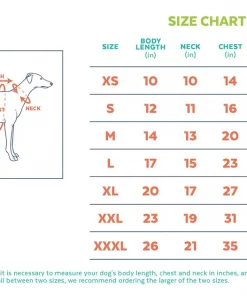 Frisco Packable Lightweight Gradient Insulated Dog & Cat Jacket -PetNest Shop 223909 PT1. SY630 V1599276666