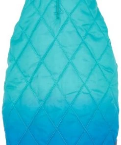 Frisco Packable Lightweight Gradient Insulated Dog & Cat Jacket -PetNest Shop 223909 PT3. SY630 V1599571287