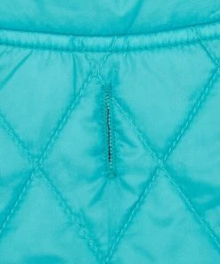 Frisco Packable Lightweight Gradient Insulated Dog & Cat Jacket -PetNest Shop 223909 PT5. SY630 V1599571263