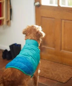 Frisco Packable Lightweight Gradient Insulated Dog & Cat Jacket -PetNest Shop 223909 PT7. SY630 V1601578610
