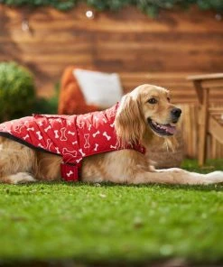 Frisco Patterned Bones Insulated Dog & Cat Coat -PetNest Shop 223953 PT7. SY630 V1601578878