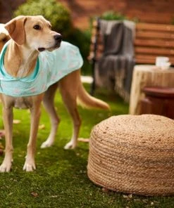 Frisco Flamingo Dog Raincoat -PetNest Shop 224065 PT7. SY630 V1614985901