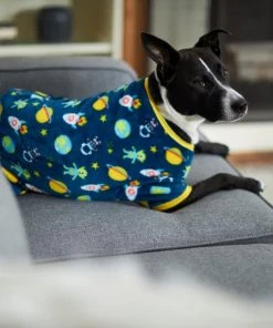 Frisco Outer Space Dog & Cat Cozy Fleece PJs -PetNest Shop 224125 PT7. SY630 V1599923554