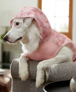 Frisco Floral Dog & Cat Hoodie -PetNest Shop 224217 PT6. SY630 V1637651830