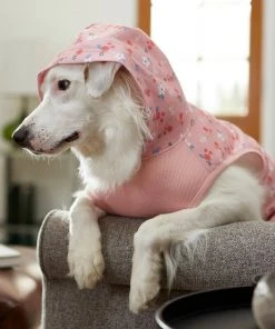 Frisco Floral Dog & Cat Hoodie -PetNest Shop 224217 PT8. SY630 V1607568448