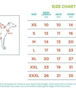 Frisco Colorblock Dog & Cat Sleeveless Hoodie 11 Frisco Colorblock Dog & Cat Sleeveless Hoodie -PetNest Shop 224258 PT1. SY630 V1637680295