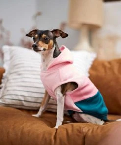 Frisco Colorblock Dog & Cat Sleeveless Hoodie 16 Frisco Colorblock Dog & Cat Sleeveless Hoodie -PetNest Shop 224258 PT6. SY630 V1637672226