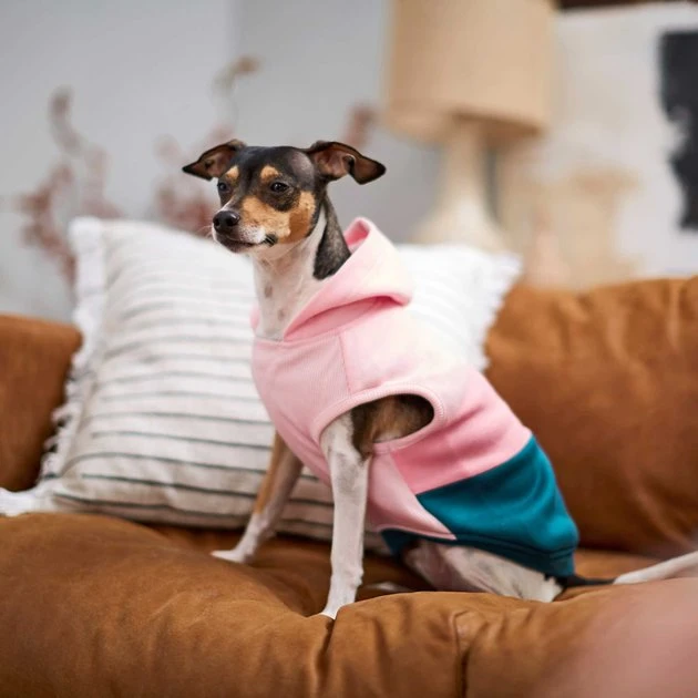 Frisco Colorblock Dog & Cat Sleeveless Hoodie 9 Frisco Colorblock Dog & Cat Sleeveless Hoodie - Image 7