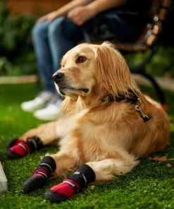 Frisco Anti-Slip Extended Cuff Length Dog Boots -PetNest Shop 224374 PT7. SY630 V1601577663