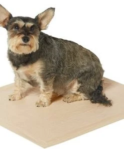 Frisco Large Eco-Conscious Dog Training & Potty Pads, 22 x 23-in, Unscented -PetNest Shop 227438 PT1. SY630 V1604674354