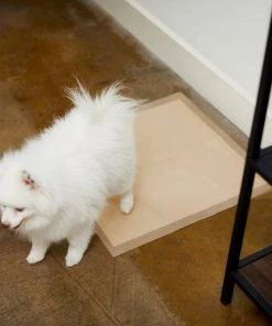 Frisco Large Eco-Conscious Dog Training & Potty Pads, 22 x 23-in, Unscented -PetNest Shop 227438 PT6. SY630 V1604701050