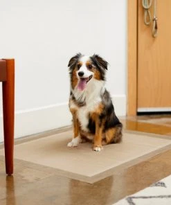 Frisco Extra Large Eco-Conscious Dog Training & Potty Pads, 28 x 34-in, Unscented -PetNest Shop 227441 PT6. SY630 V1604700713