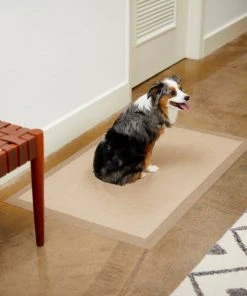 Frisco Giant Eco-Conscious Dog Training & Potty Pads, 27.5 x 44-in, Unscented -PetNest Shop 227444 PT6. SY630 V1604702010