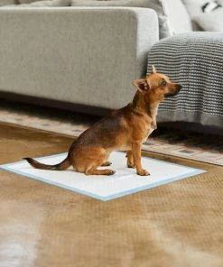 Frisco Non-Skid Ultra Premium Dog Training & Potty Pads, 22 x 23-in -PetNest Shop 227447 PT6. SY630 V1604701029