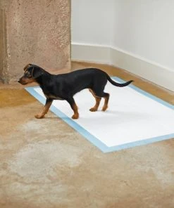 Frisco Giant Non-Skid Ultra Premium Dog Training & Potty Pads, 27.5 x 44-in 11 Frisco Giant Non-Skid Ultra Premium Dog Training & Potty Pads, 27.5 x 44-in -PetNest Shop 227453 PT6. SY630 V1604701908
