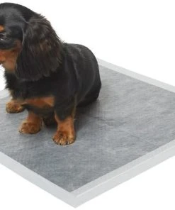 Frisco Charcoal Dog Training & Potty Pads, 22 x 23-in, Unscented 8 Frisco Charcoal Dog Training & Potty Pads, 22 x 23-in, Unscented -PetNest Shop 227456 PT1. SY630 V1604673520