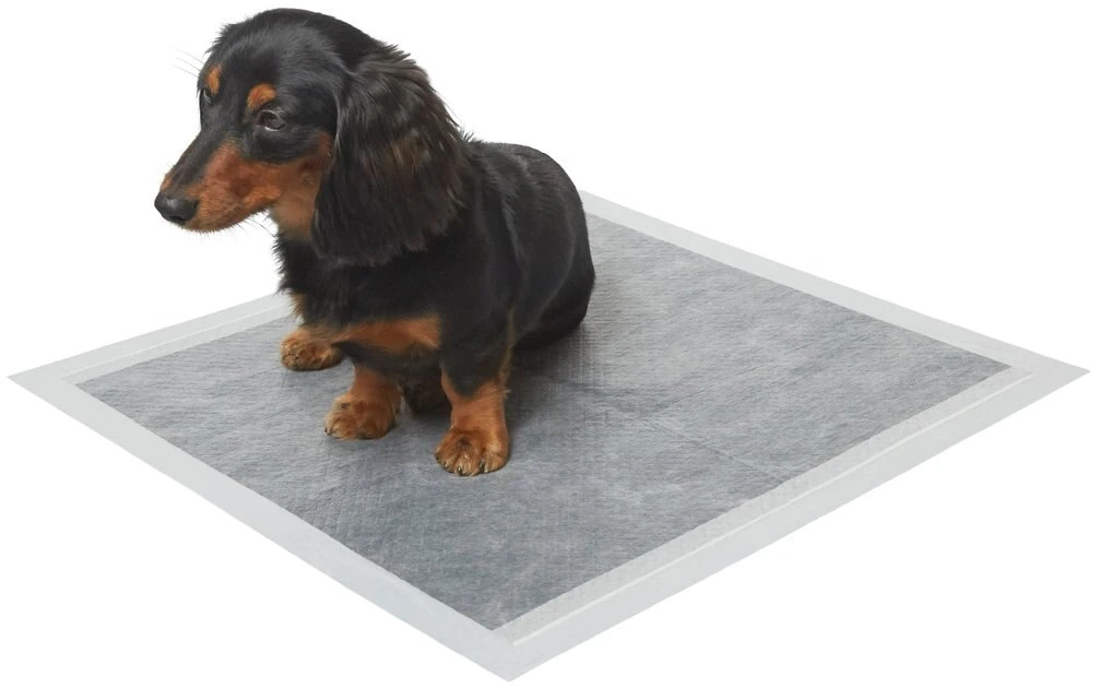 Frisco Charcoal Dog Training & Potty Pads, 22 x 23-in, Unscented 4 Frisco Charcoal Dog Training & Potty Pads, 22 x 23-in, Unscented - Image 2